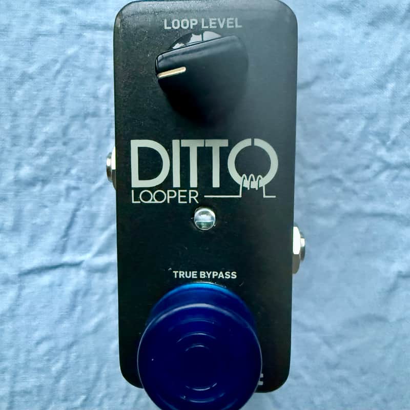 TC Electronic Ditto Looper Guitar Effects Pedal | True Bypass | Blue Footswitch Topper image 1