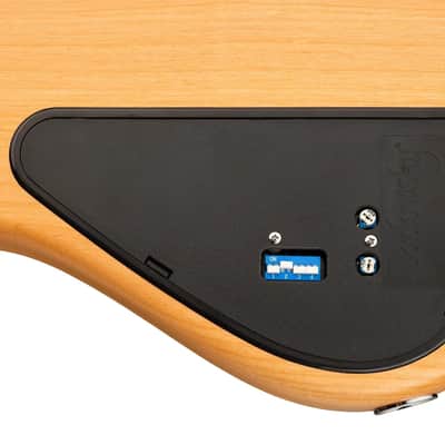 Sadowsky MetroLine 24-Fret Singlecut Vintage Bass-Red Alder Body-5 String-Natural Transparent Satin image 9