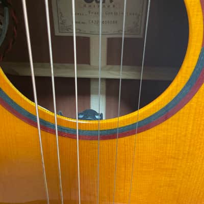 Cort LUXE NAT Frank Gambale Series Adirondack Spruce/Blackwood Concert Cutaway with Electronics 2010s - Natural Glossy image 10