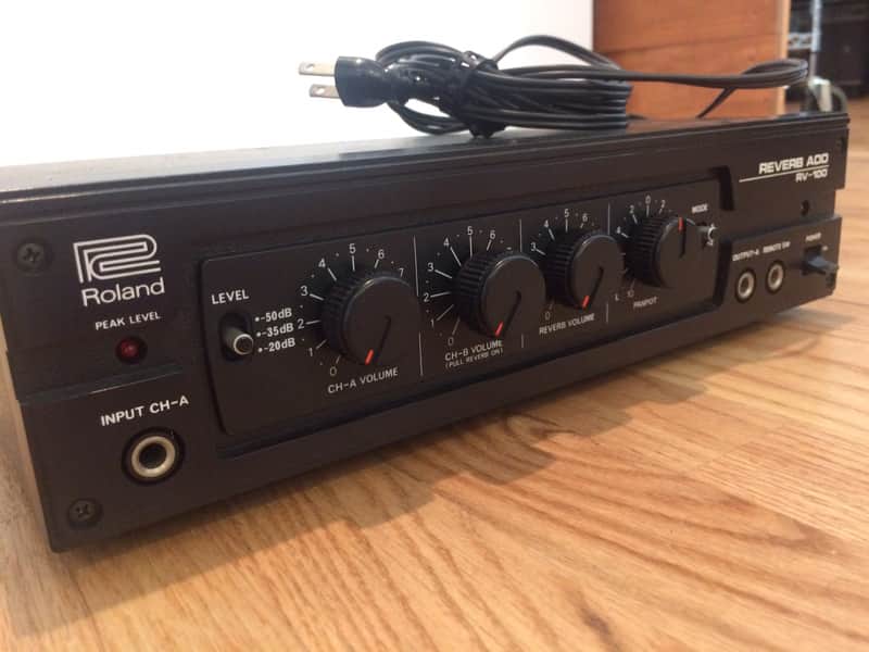 Roland RV-100 Analog Spring Reverb (Vintage) | Reverb