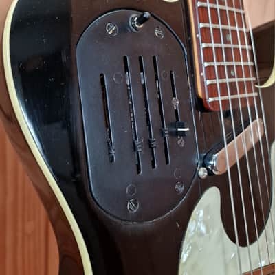 Godin Acousticaster LR Baggs, Modifiziert, Bj. ca 1990 image 11