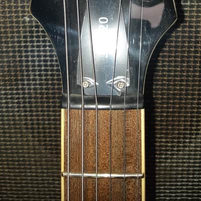 Jay Turser JT-220 Les Paul Style Electric Guitar image 3