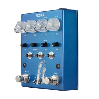 AC Noises Ricorda Stereo Granular Reverb Pedal image 3