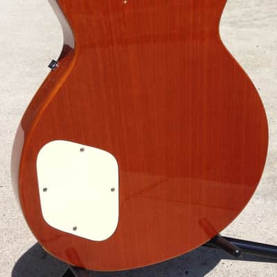 Dillion Dl 650 Les Paul image 3