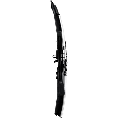 Roland AE-30 Aerophone Pro Regular image 6