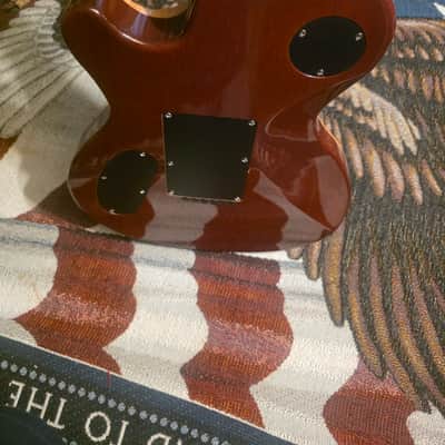 Fujigen EXPERT EFL FM 2000s image 13