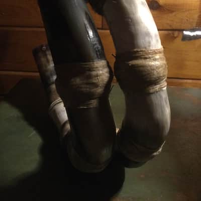 Peruvian Waqra Phuku - Traditional Horn Trumpet from Peru image 7