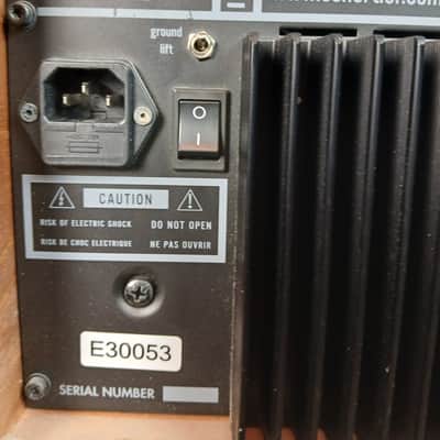 Schertler Amp JAM 100 Watt Professional Wood Acoustic Amplifier Made In Italy image 5