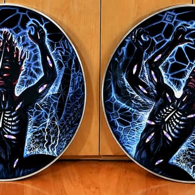 Tool, PAIR of The Great Turning 22" Bass Drumheads, Danny Carey image 1