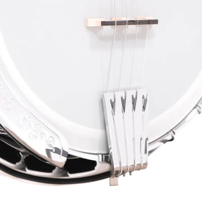 Gold Tone Mastertone® IT-250F: Irish Tenor Banjo with Flange and Case image 3