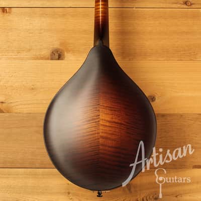 Collings MT Mandolin Gloss Torrefied Sitka Top w/ Ivoroid Bindings image 2