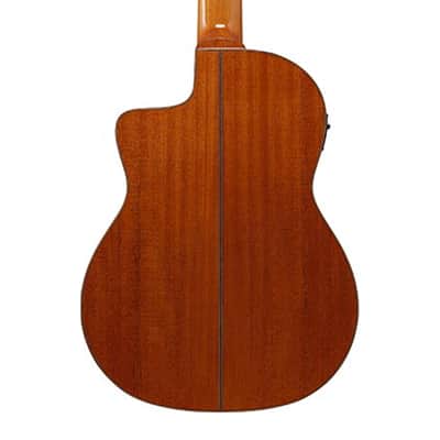 Ibanez GA3007CE 7-String A/E Nylon String Guitar w/Case - Natural High Gloss image 5