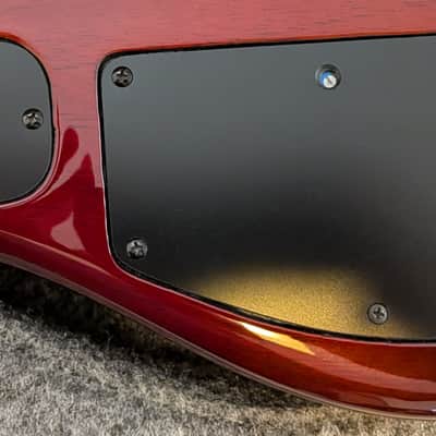 Roscoe SKB3006 - Gloss Spalted Maple image 12