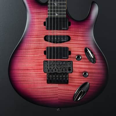Paul Reed Smith SE Chleo, '25 image 2
