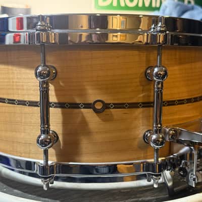 Tama Star Curly Maple 2026 - Curly Maple image 5