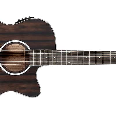 Washburn Deep Forest Ebony Ace Stripe Wood Mahogany Neck Acoustic-Electric, DFEACE-U, B-Stock image 1