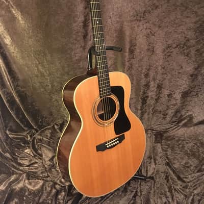 Guild GV70 94 Westerly R.I. "Rare Bird Alert" 1 of 59 image 3