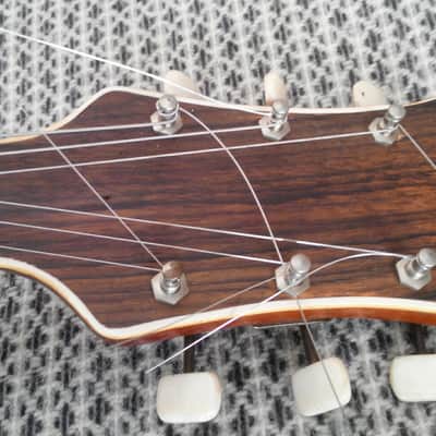 Musima 1653 50-60ss 2 Color Sunburst image 6