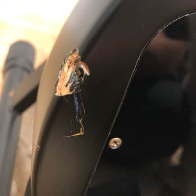 ESP Eclipse I ("lawsuit") image 18