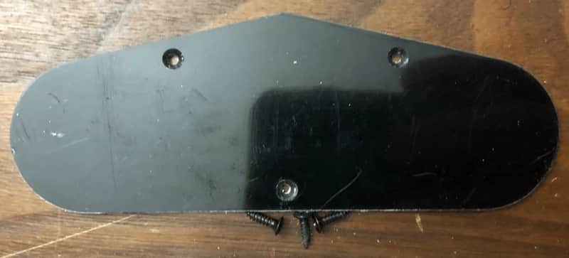 2017 Epiphone Les Paul Special II Control Cavity Cover With Screws image 1