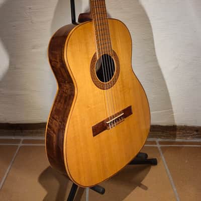 Giannini AWN31 1970s image 13