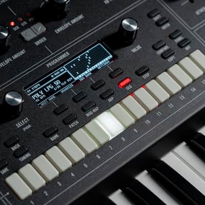 Moog Muse 8-Voice Polyphonic Analog Synthethizer image 2