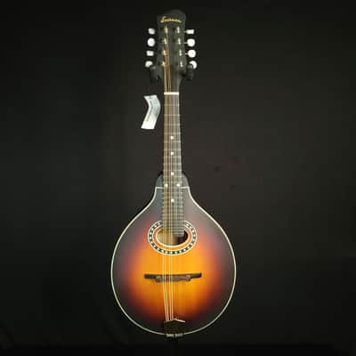 Eastman MD304E Electric A Style Oval Hole Electric K&K Mandolin with Bag image 2