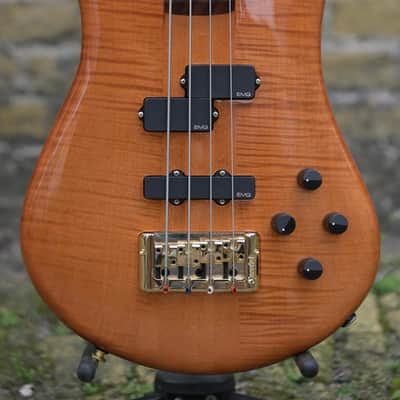 Spector Doug Wimbish Euro 4 Signature Model - Amber Stain Gloss image 1