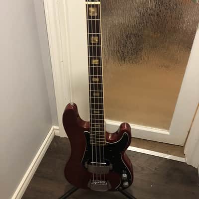 ampeg little stud GEB 101 image 1