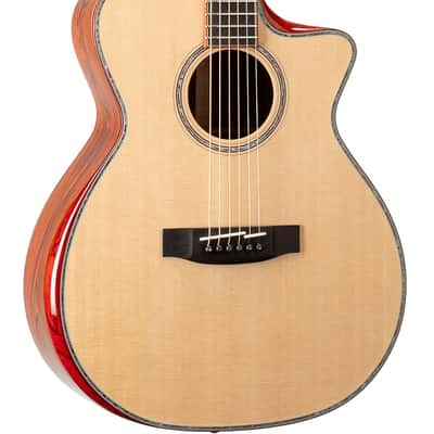 Prestige Master Class Cocobolo (with Fishman Electronics) w/Case image 1