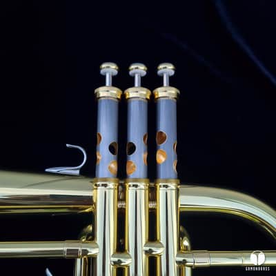 Yamaha YFL - 02 Bobby Shew Custom flugelhorn gamonbrass image 16