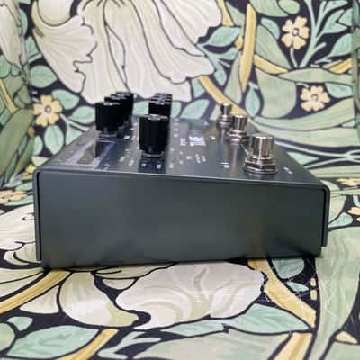 Immagine Strymon Timeline - 6