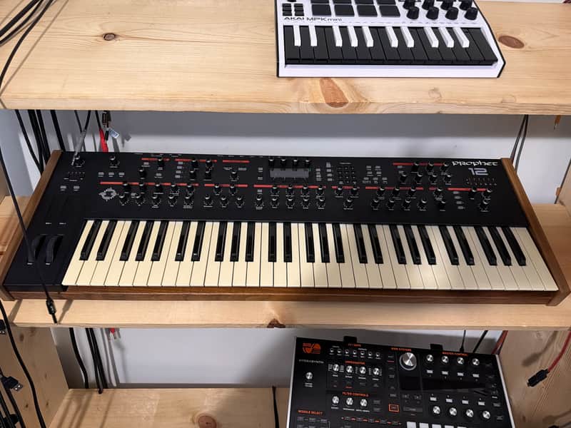 Dave Smith Instruments Prophet 12 61-Key 12-Voice Polyphonic