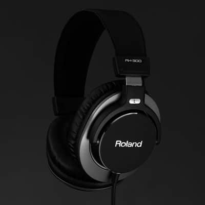 Roland RH-300 Headphones image 2
