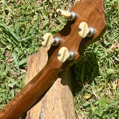 Vintage Ludwig Columbia 1930’s Tenor Banjo - Natural Walnut image 19