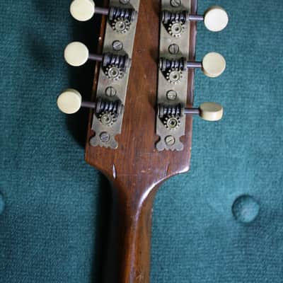 Holdrio Piccolo Mandolin circa 1930 image 3