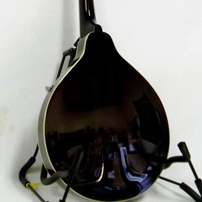 Austin A Style Mandolin image 2