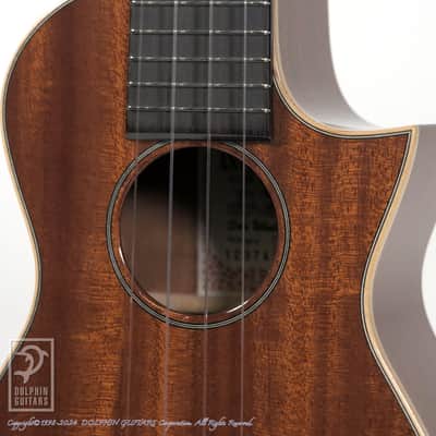 ASTURIAS <MIJ>Solo Ukulele Mahogany image 10