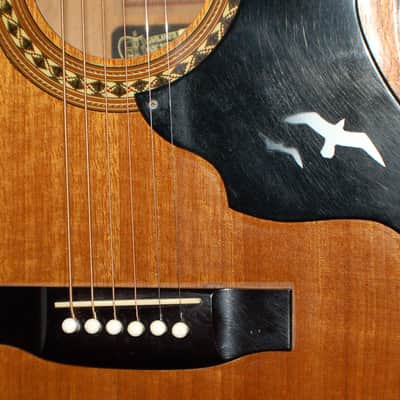 1979 Kay Model K475 Auditorium Size Acoustic Pro Setup New Strings Plays Great! image 3