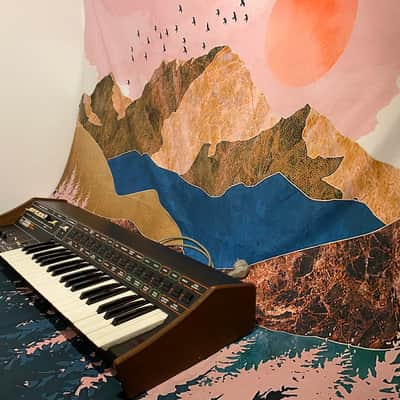 ARP Pro/DGX PRO SERVICED/WARANTY image 3