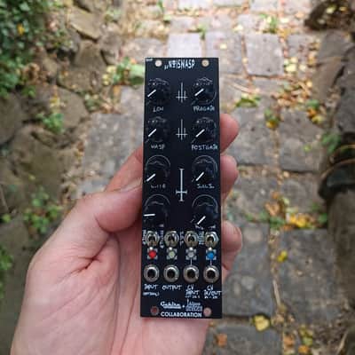 DIY NoisWasp (inspired by the 4ms Noise Swash) 2026 - Black / Black image 1