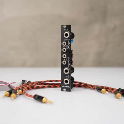 Strymon AA.1 Eurorack Module w/ Braided Patch Cables #58925 image 8