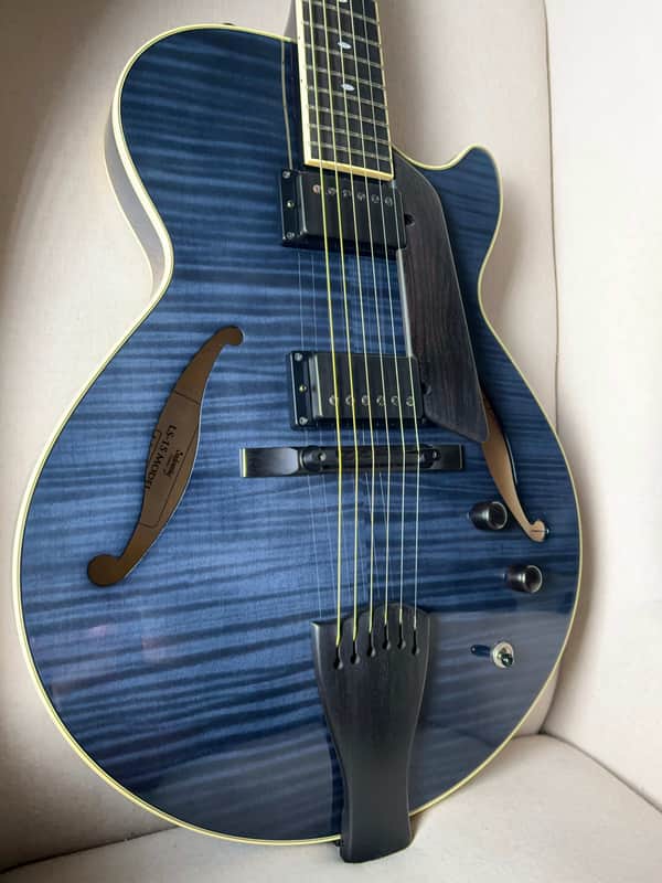 Sadowsky LS15 LS-15 Archtop Hollowbody Electric Guitar Custom Color Trans Black image 1
