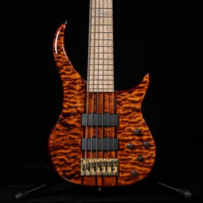 Peavey Cirrus Custom Shop 6 String bass - The "Poor Man’s Ken Smith" of Ghospel image 3