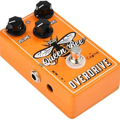 Caline CP-503 Queen Bee Overdrive Pedal, FREE PICK + HOLDER+ FREE SHIP USA image 2