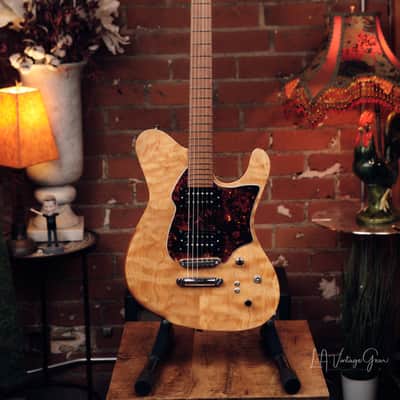 Dragon Fly Border B6 Custom - Great Bass VI! image 1