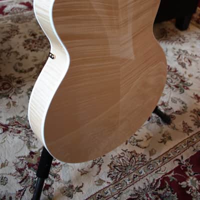 Campellone Standard Series 16" image 13