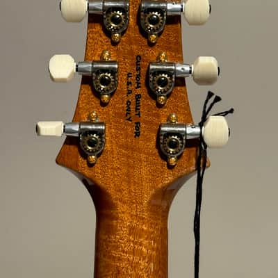 PRS DGT Wood Library One Piece 10-Top - Brazilian Rosewood Fretboard Yellow Tiger beauty image 5