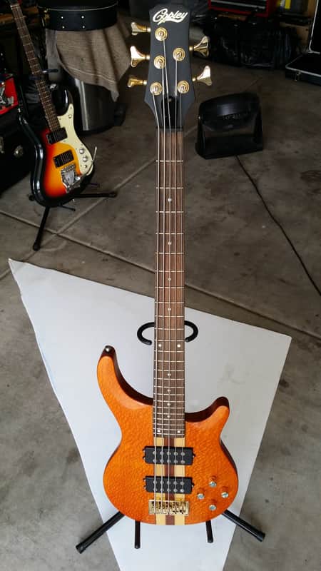 Copley 5 String Bass image 1