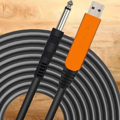 USB Guitar Cable 10Ft, USB Guitar Interface Male to 6.35mm 1/4 inch Gold-Plated TS Mono Plug,Recording Cable Compatible with PC, Mac, Xbox, PS4, PS3,PS2 image 1